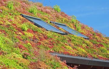 Bradiford living roof systems