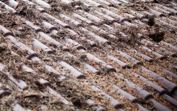 Bradiford roof cleaning companies